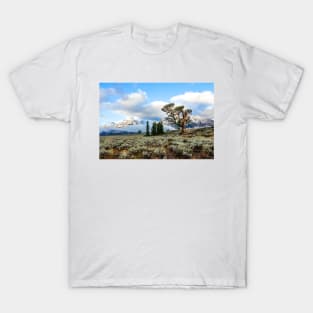 Trees & Sagebrush Hills Teton Range Wyoming T-Shirt